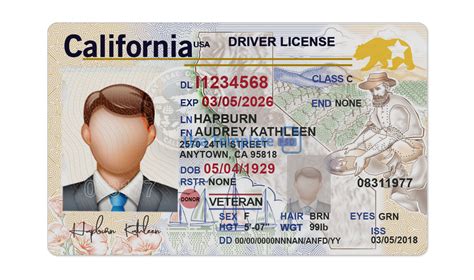 Ca Drivers License Template